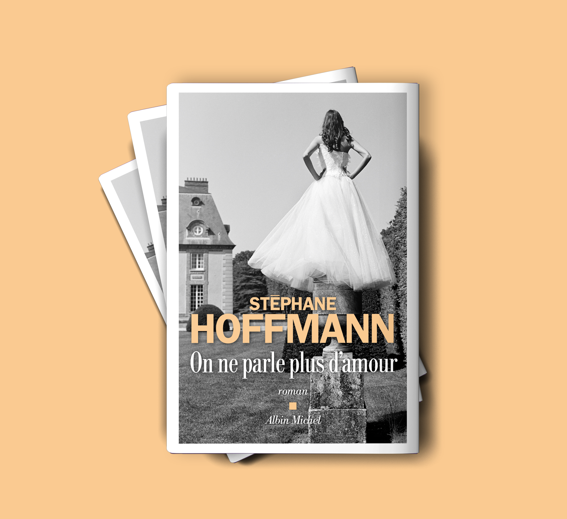 Roman "On ne parle plus d'amour", de Stéphane Hoffmann