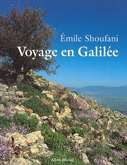 Couverture du livre Voyage en Galilée