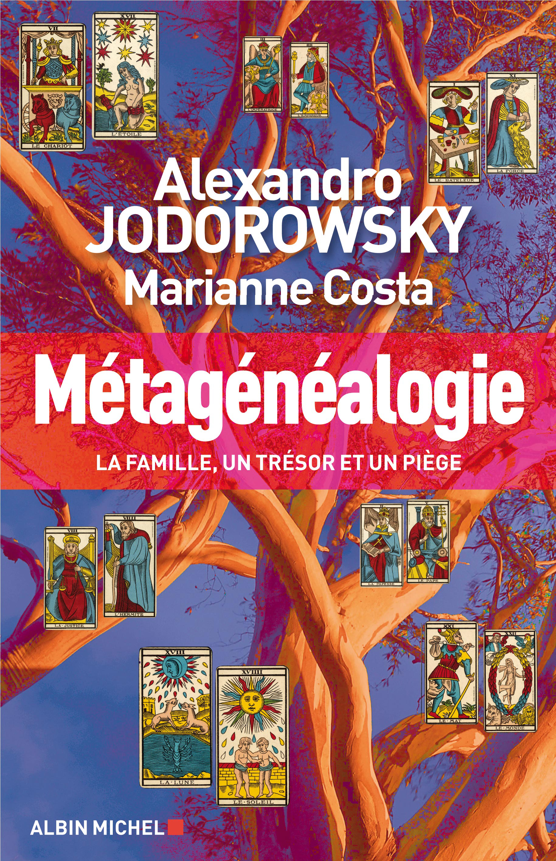 Couverture du livre Métagénéalogie