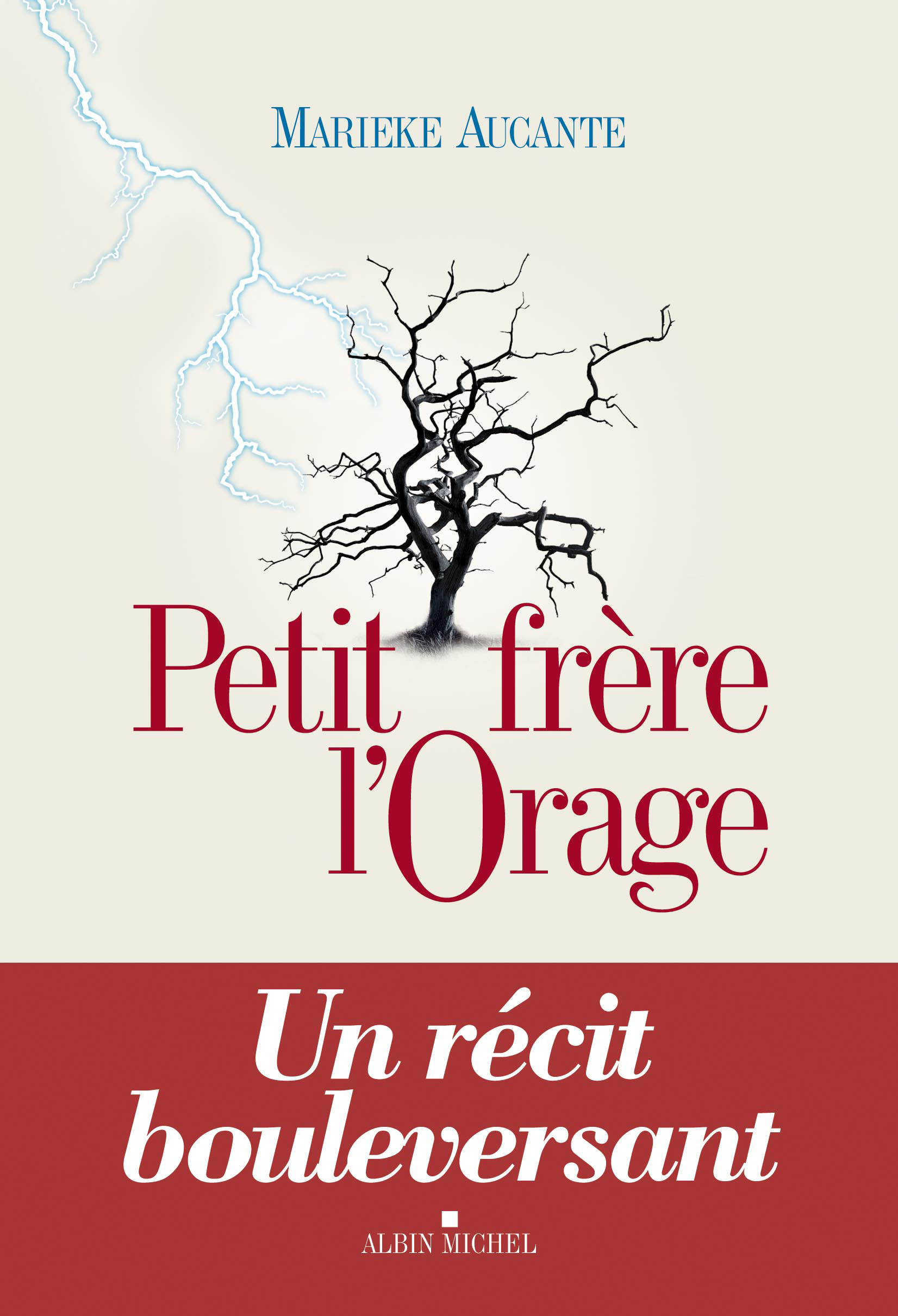 Couverture du livre Petit Frère l'Orage