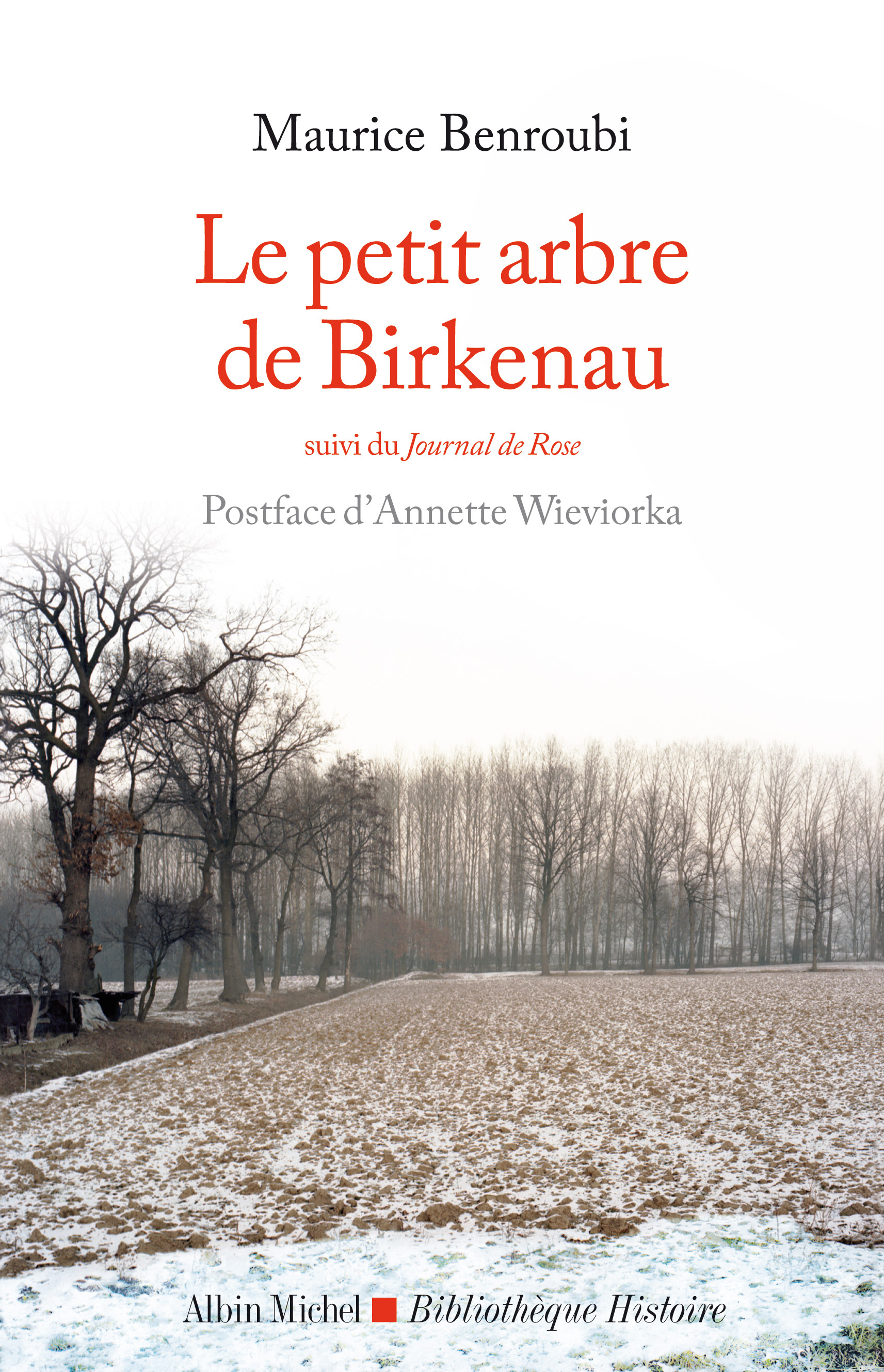 Couverture du livre Le Petit Arbre de Birkenau