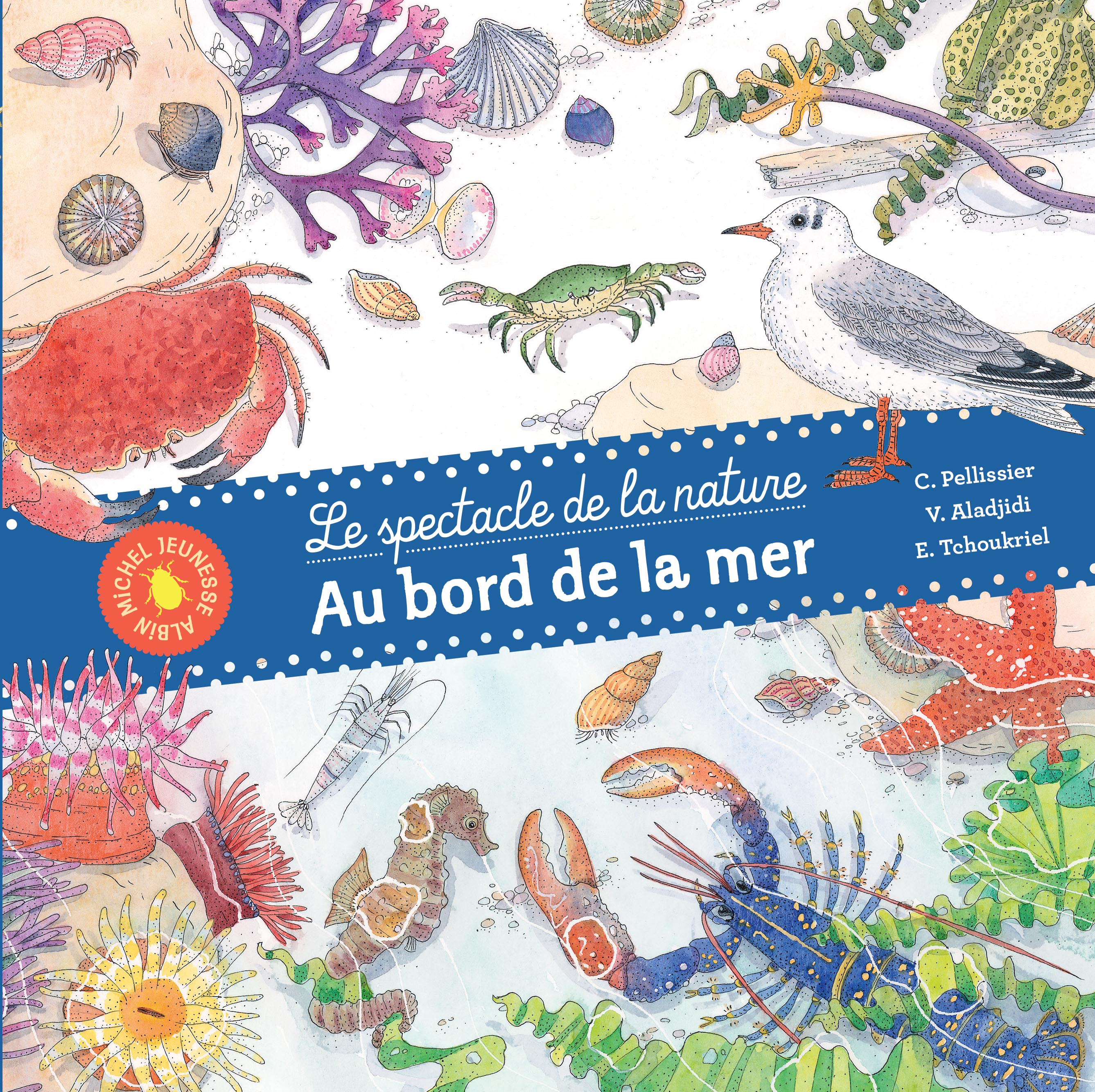 Couverture du livre Au bord de la mer