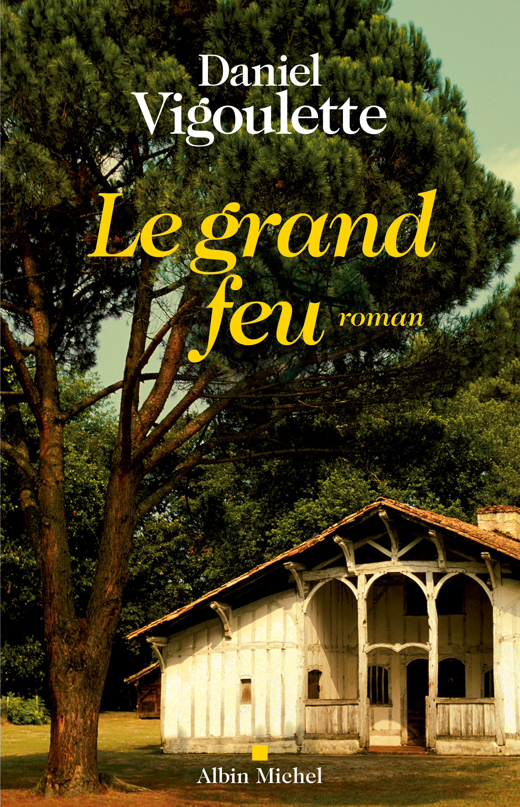 Couverture du livre Le Grand Feu