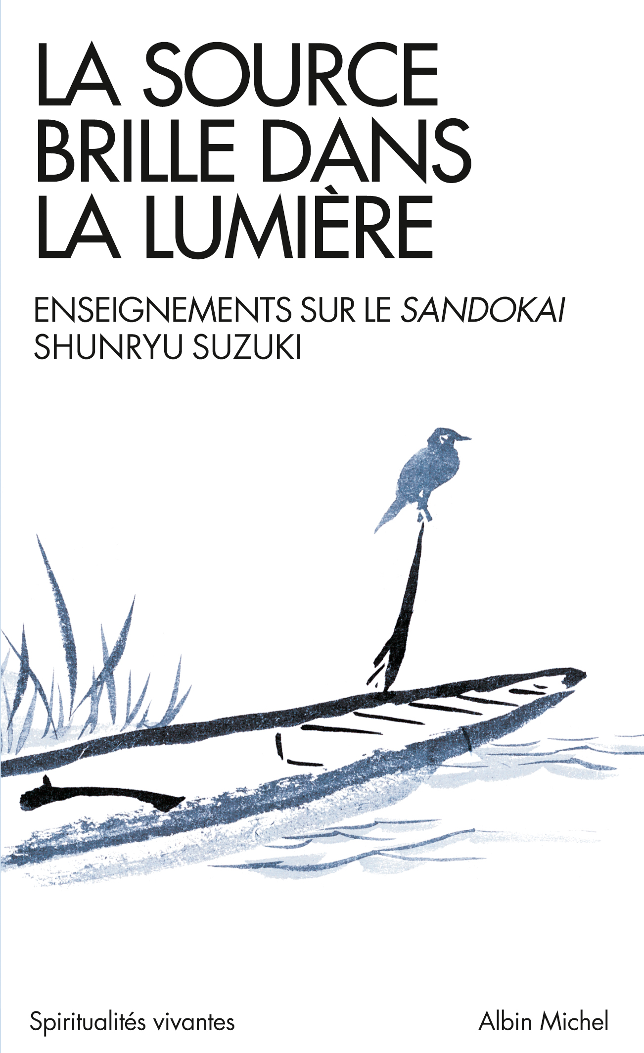 Couverture du livre La Source brille dans la lumière