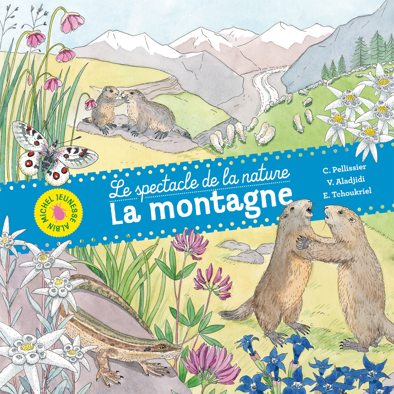 Couverture du livre La Montagne