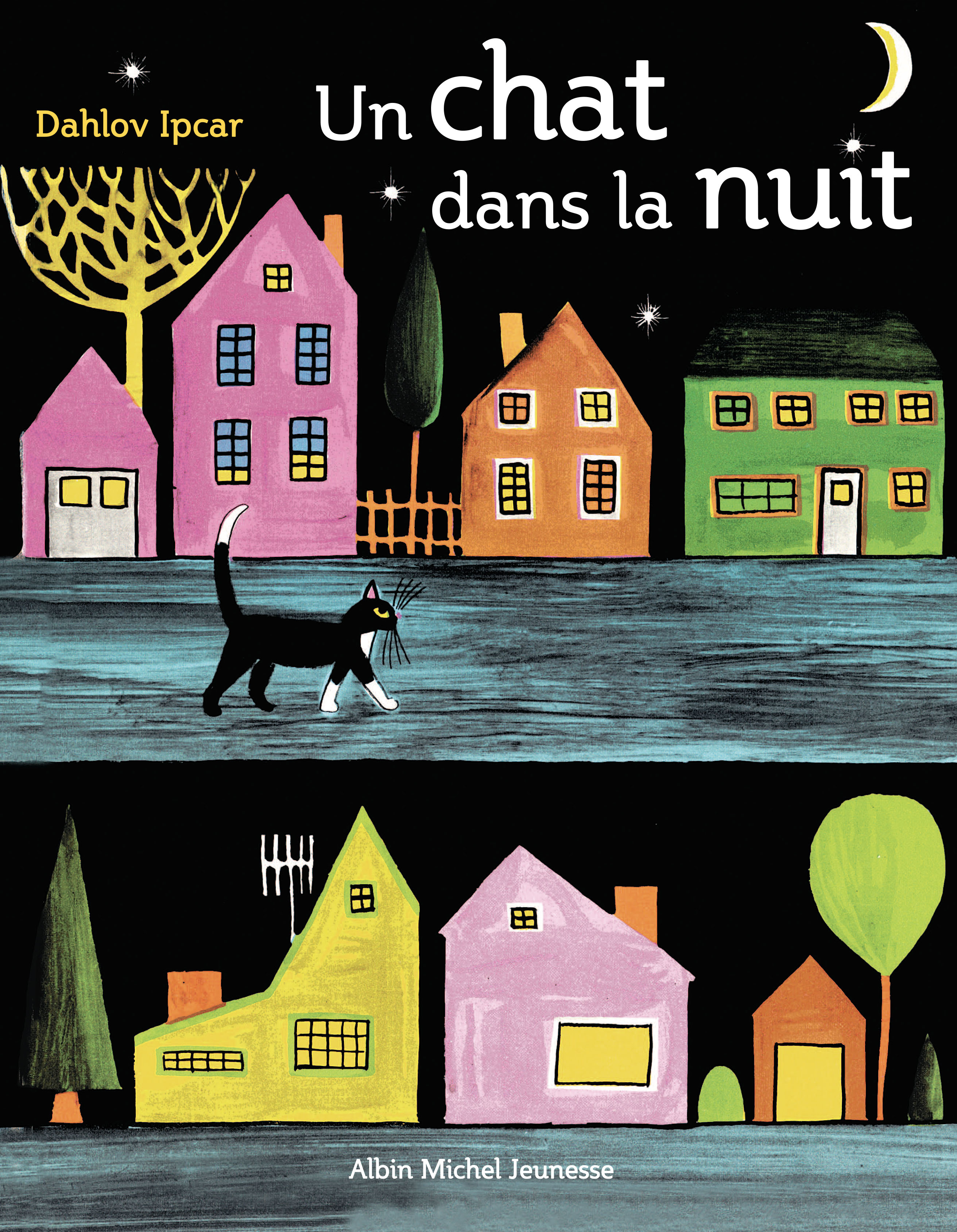 Couverture du livre Un chat dans la nuit