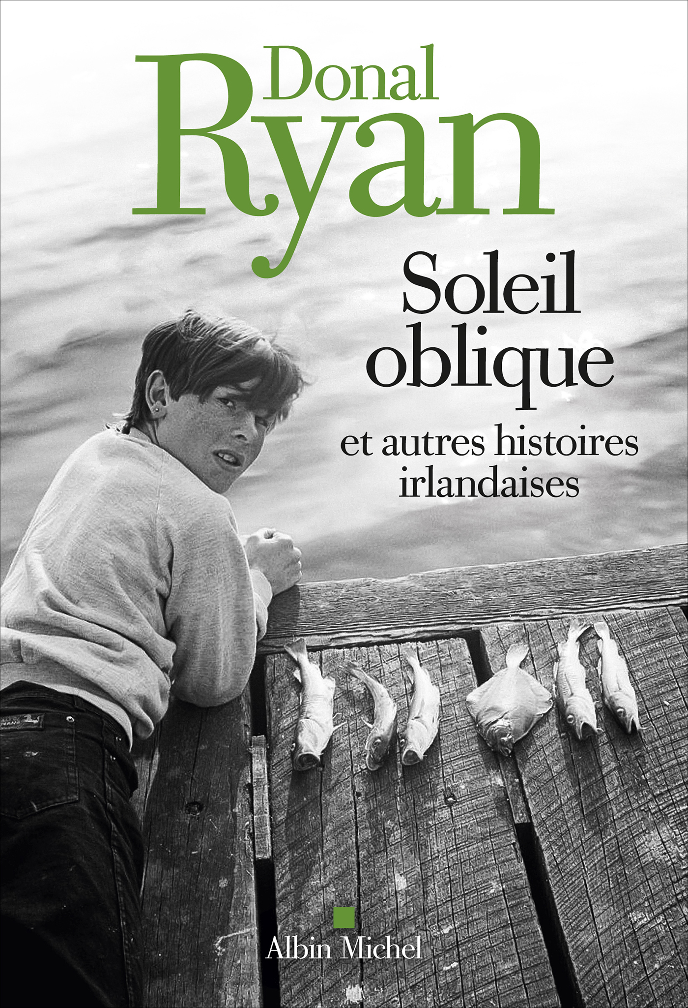 Couverture du livre Soleil oblique et autres histoires irlandaises