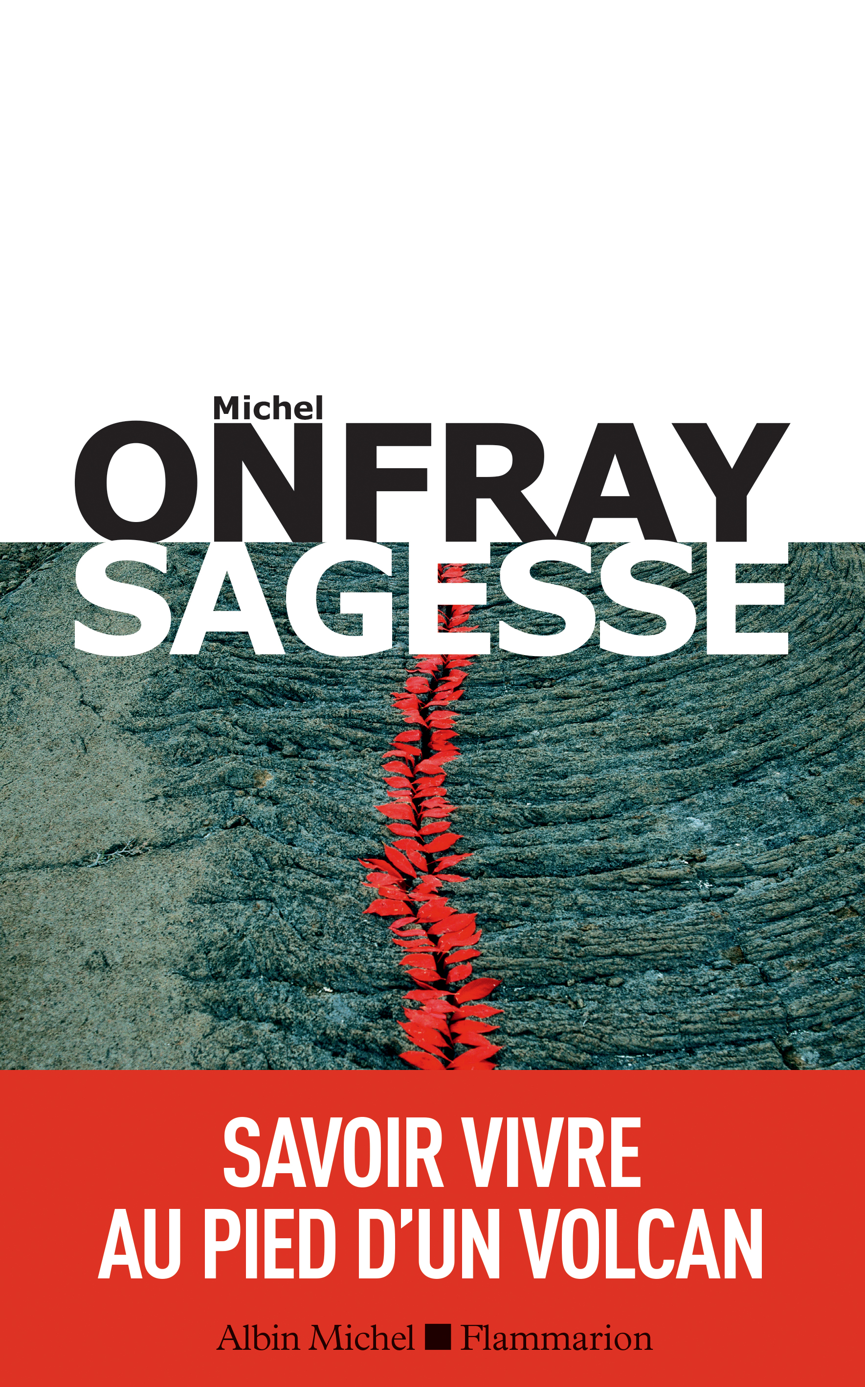 Couverture du livre Sagesse