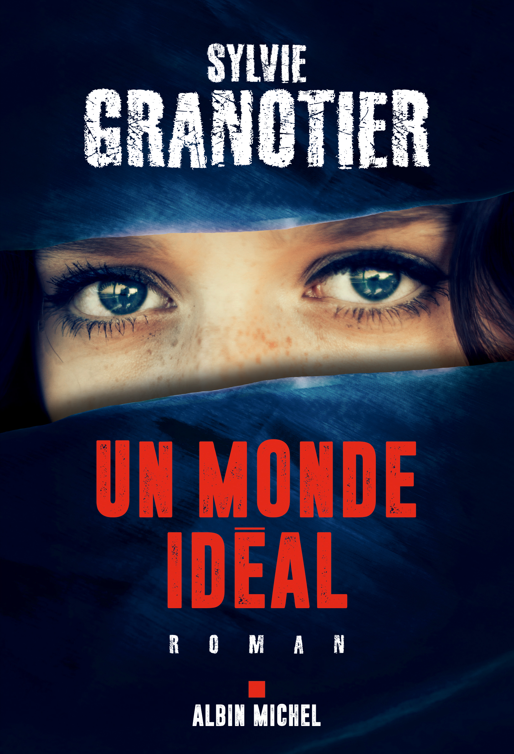 Couverture du livre Un monde idéal