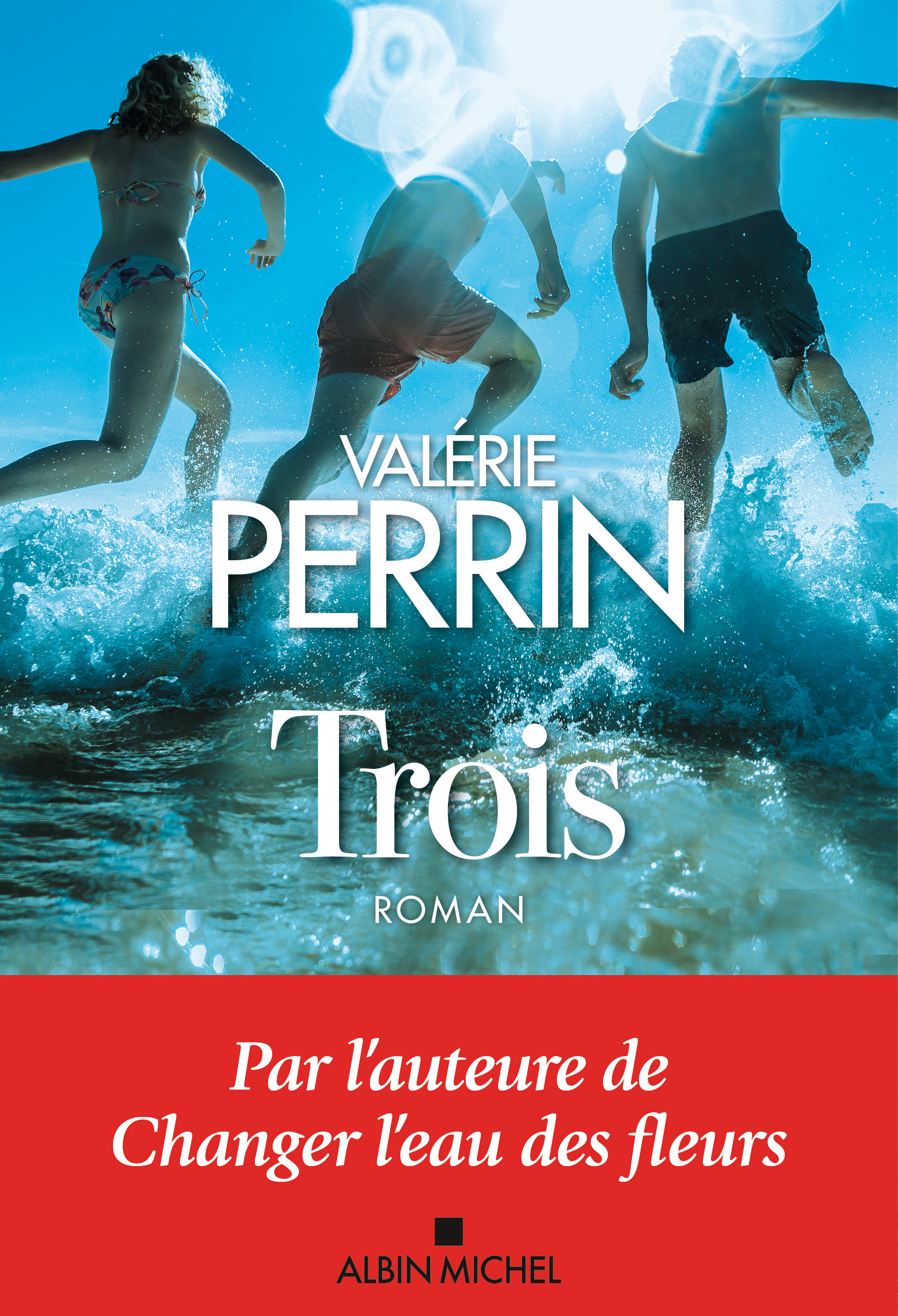 Valérie Perrin : biographie, bibliographie