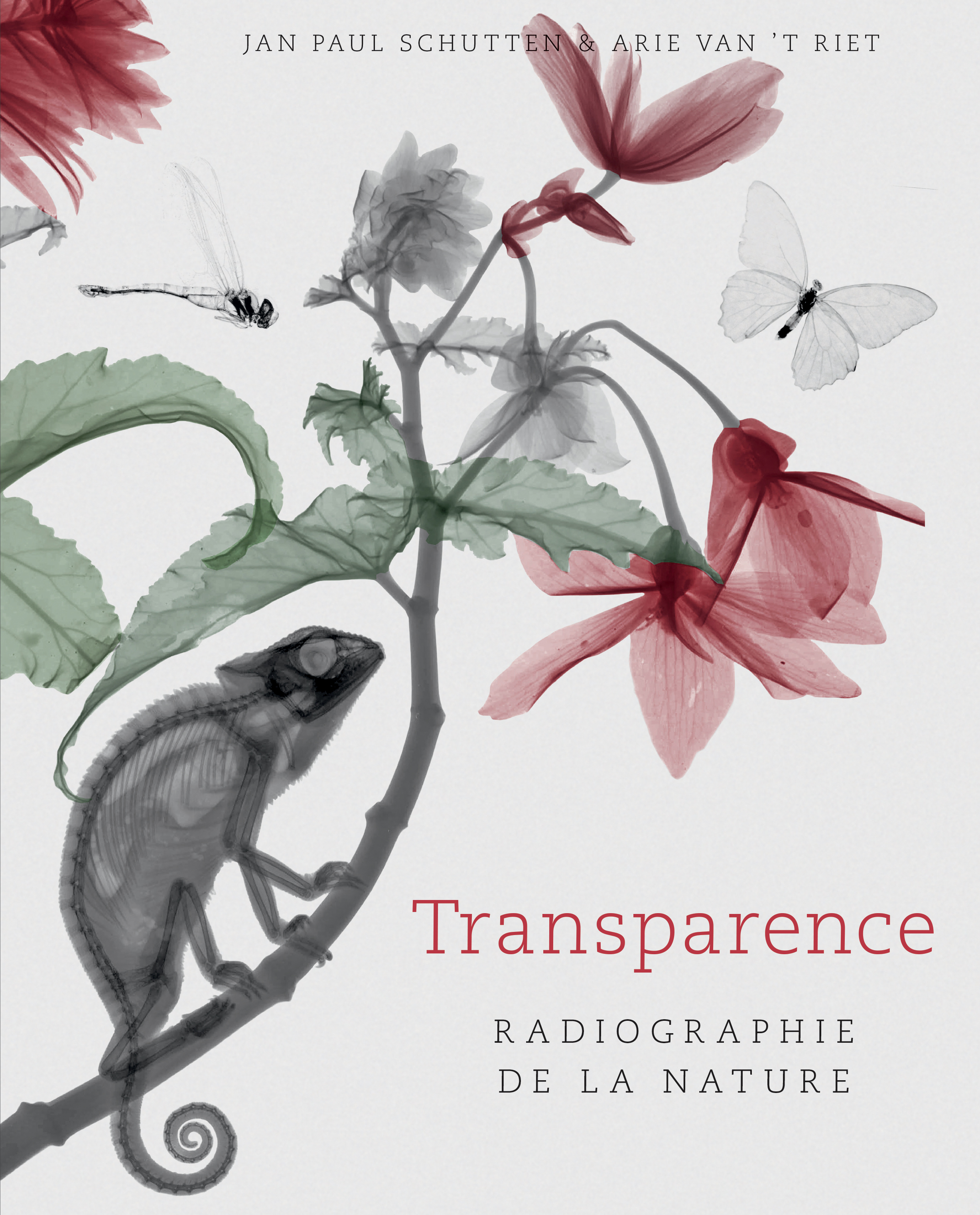 Couverture du livre Transparence