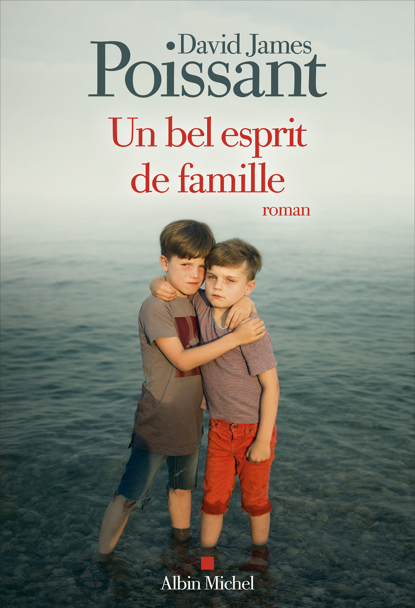 Couverture du livre Un bel esprit de famille