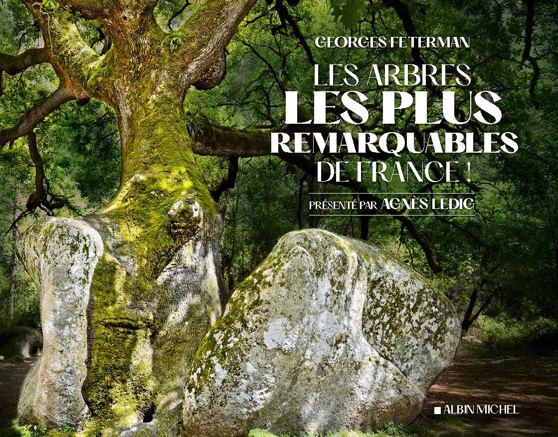 Couverture du livre Les Arbres les plus remarquables de France