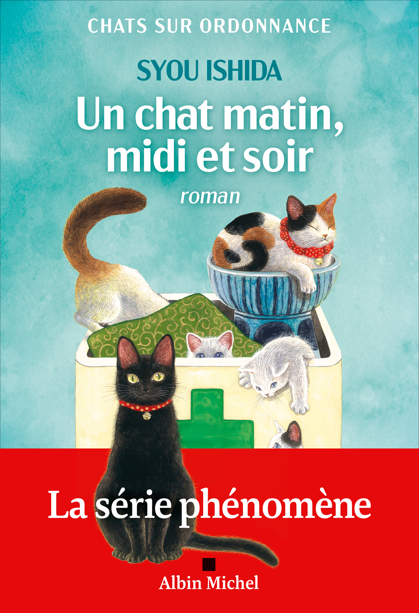Couverture du livre Un chat matin, midi et soir