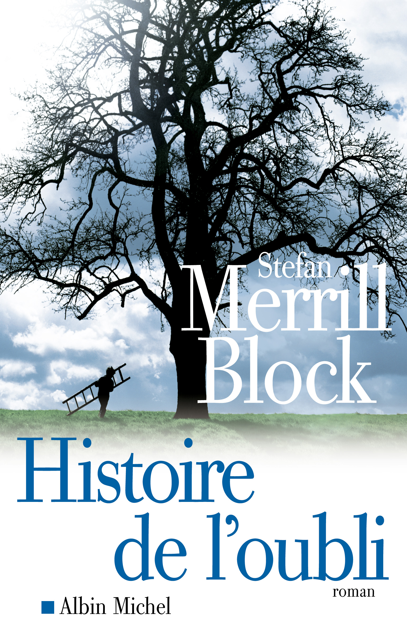 Couverture du livre Histoire de l'oubli