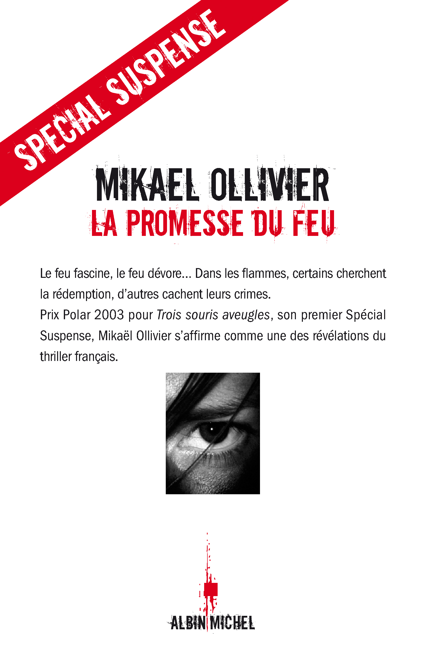 Couverture du livre La Promesse du feu