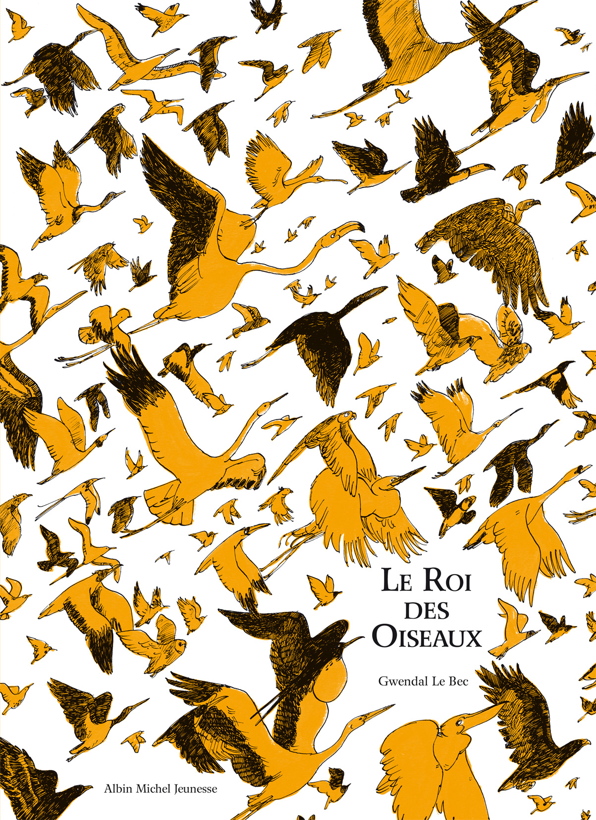 Couverture du livre Le Roi des oiseaux
