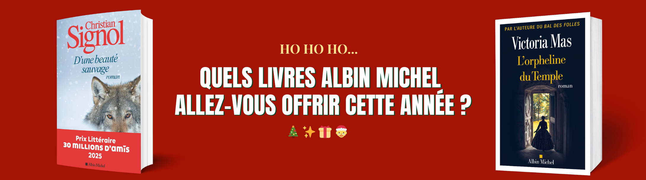 Noël Littérature Française