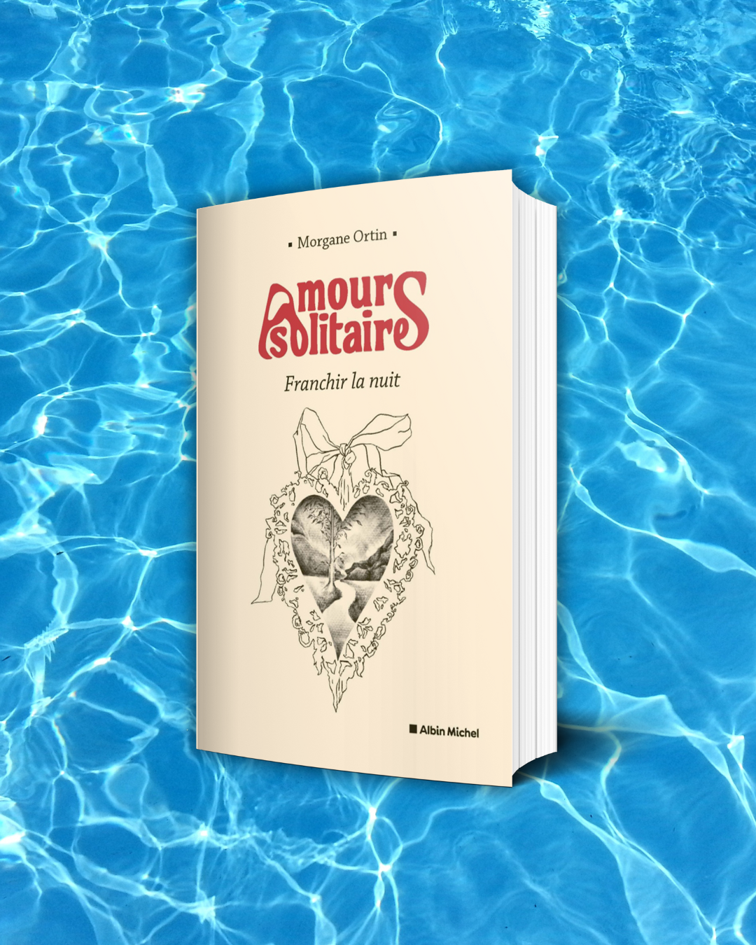 Couverture Amours solitaires