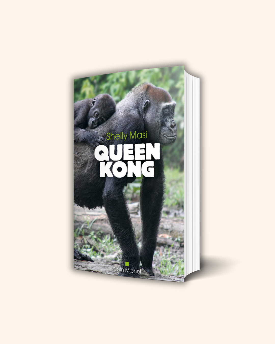 Couverture Queen Kong