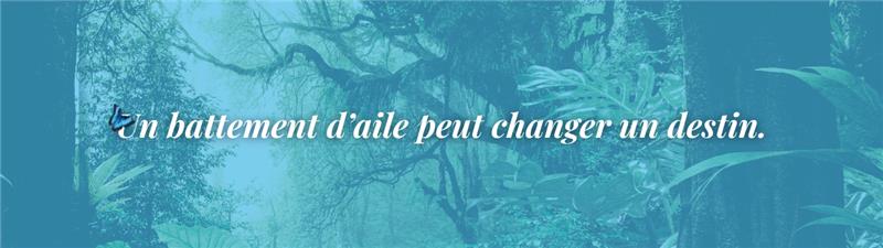 Les Ailes de la forêt.Jamy