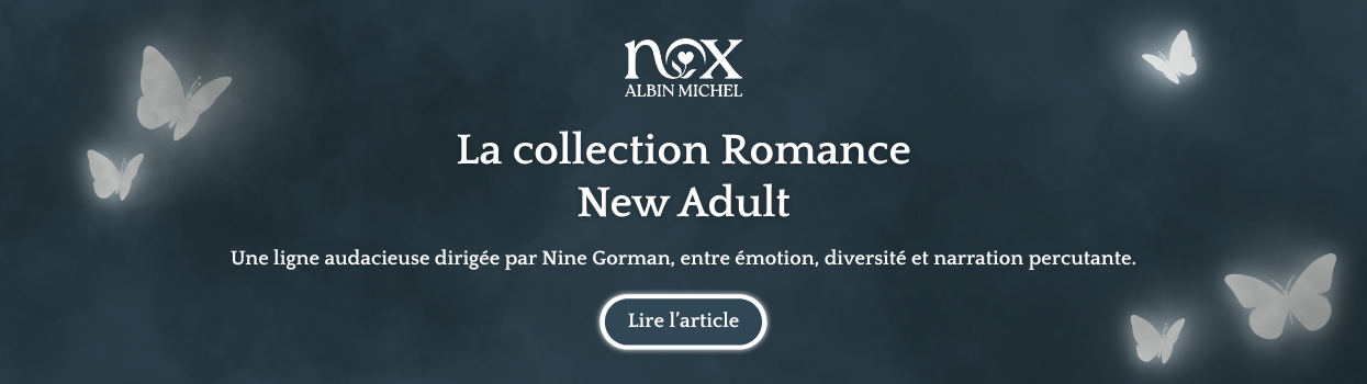 Bandeau Article NOX