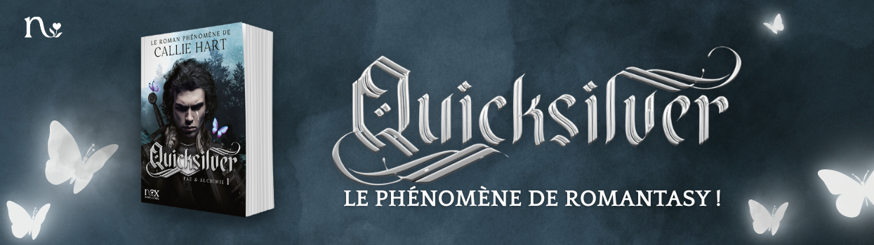 bannière quicksilver