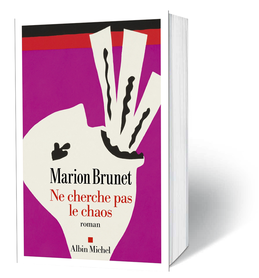 Ne cherche pas le chaos - Marion Brunet