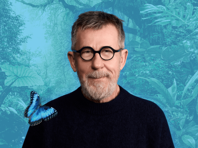 Les Ailes de la forêt - Jamy Gourmaud