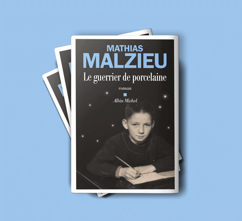 roman "Le guerrier de porcelaine" Mathias Malzieu 