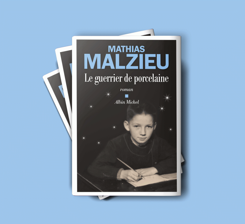 roman "Le guerrier de porcelaine" Mathias Malzieu