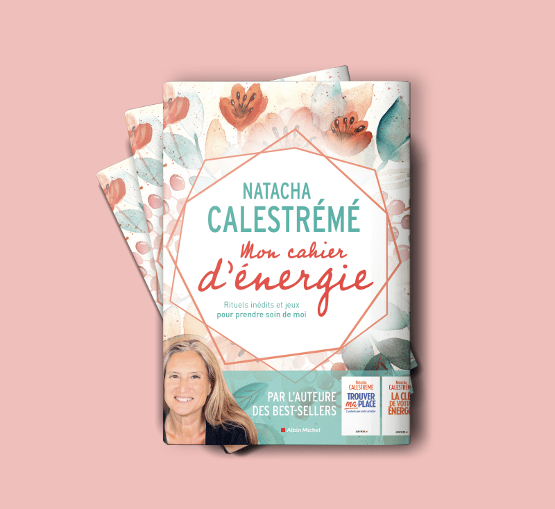 "Mon cahier d'énergie" Natacha Calestrémé