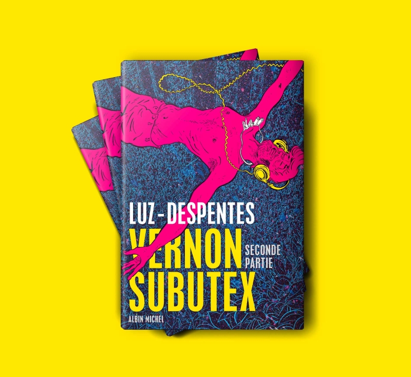 "Vernon Subutex" Despentes Luz