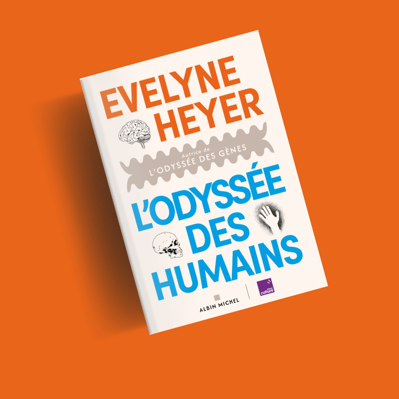 L'Odyssée des humains