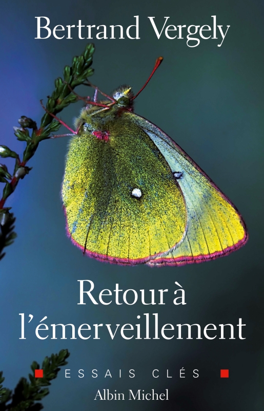 Couverture du livre Retour à l'émerveillement