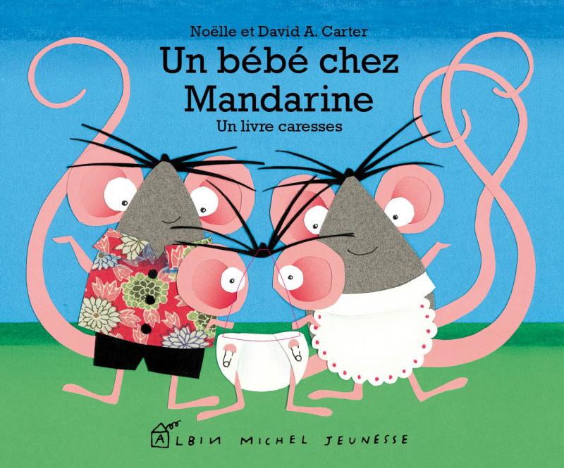 Couverture du livre Un bébé chez Mandarine