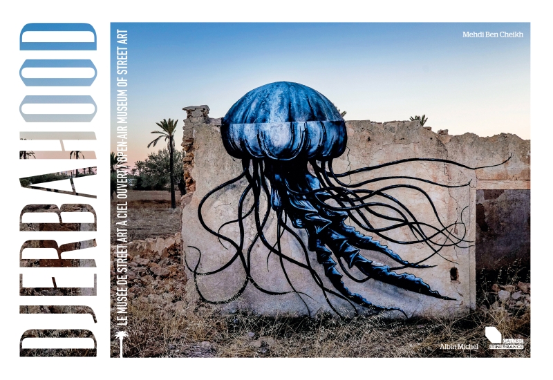 Couverture du livre Djerbahood