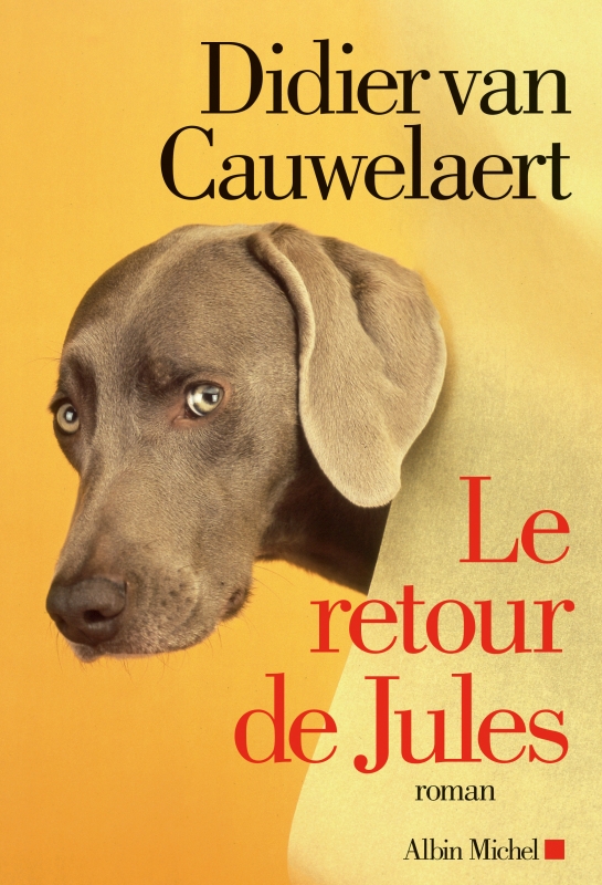 Couverture du livre Le Retour de Jules