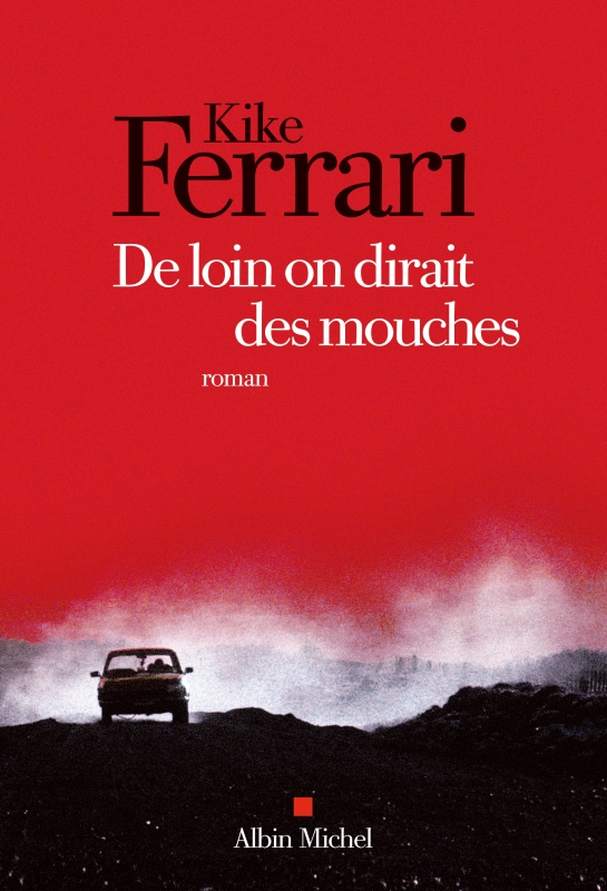 Couverture du livre De loin on dirait des mouches