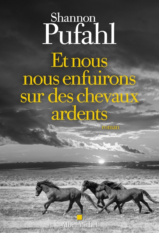 Couverture du livre Et nous nous enfuirons sur des chevaux ardents