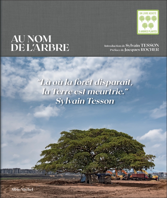 Couverture du livre Au nom de l'arbre