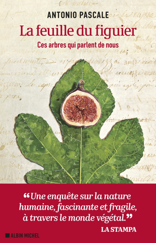 Couverture du livre La Feuille du figuier