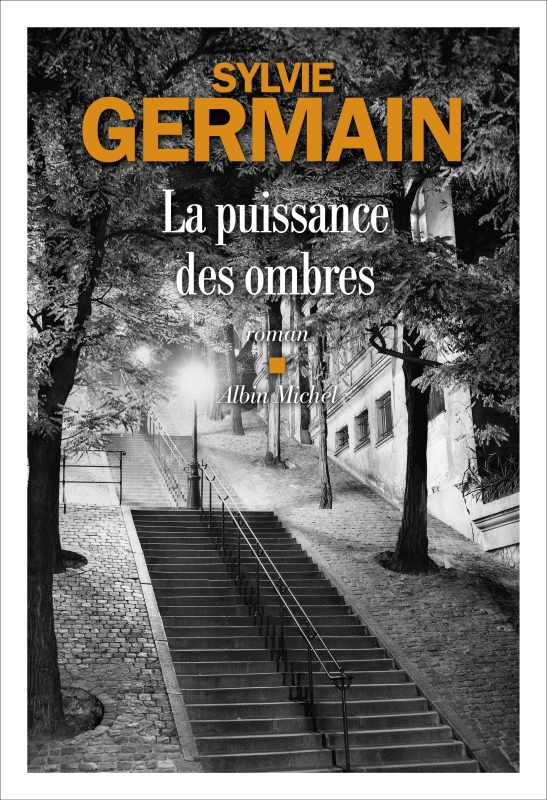 Couverture du livre La Puissance des ombres