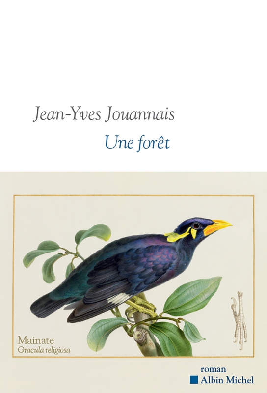Couverture du livre Une forêt