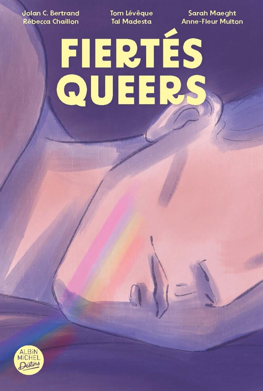 Couverture du livre Fiertés queers