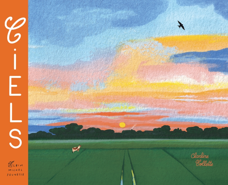 Couverture du livre Ciels