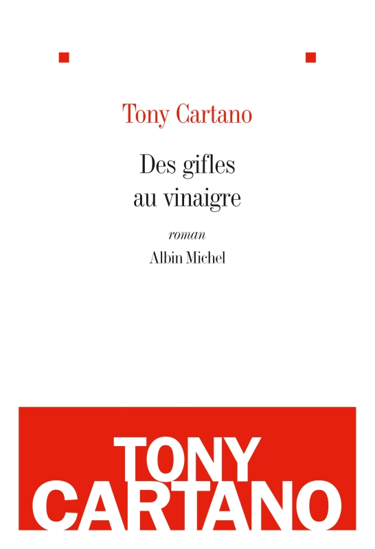Couverture du livre Des gifles au vinaigre