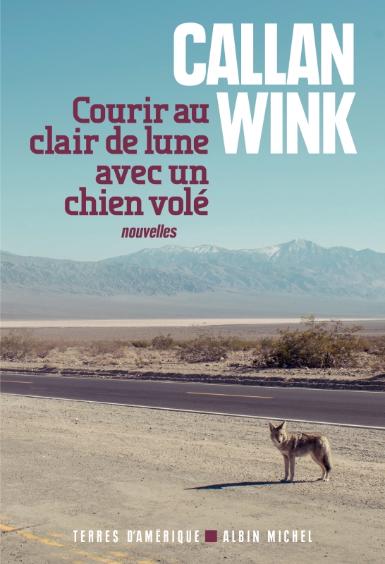 Couverture du livre Courir au clair de lune avec un chien volé