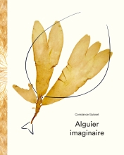 Couverture de Alguier imaginaire