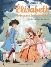Couverture de Un bébé tombé du ciel